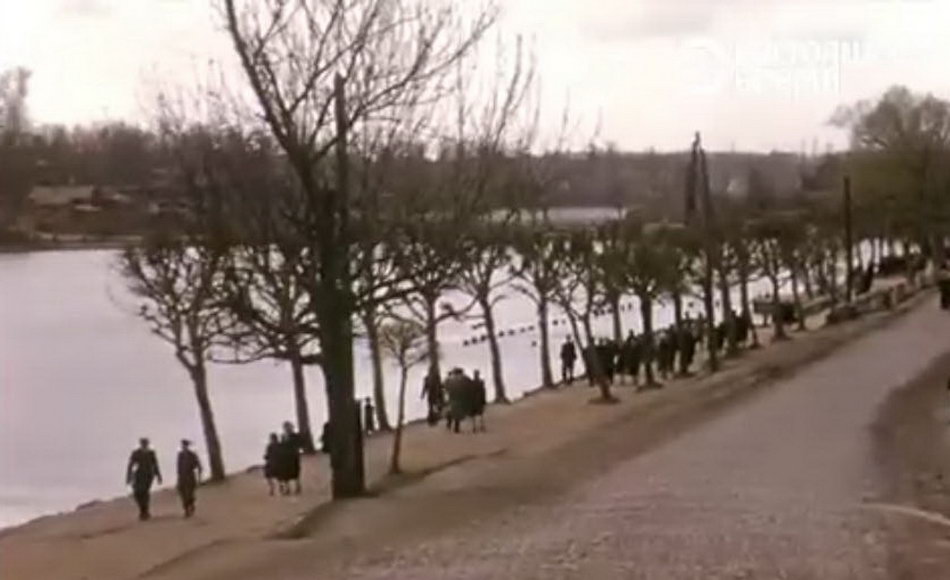 Галерея: Весна 1953 года