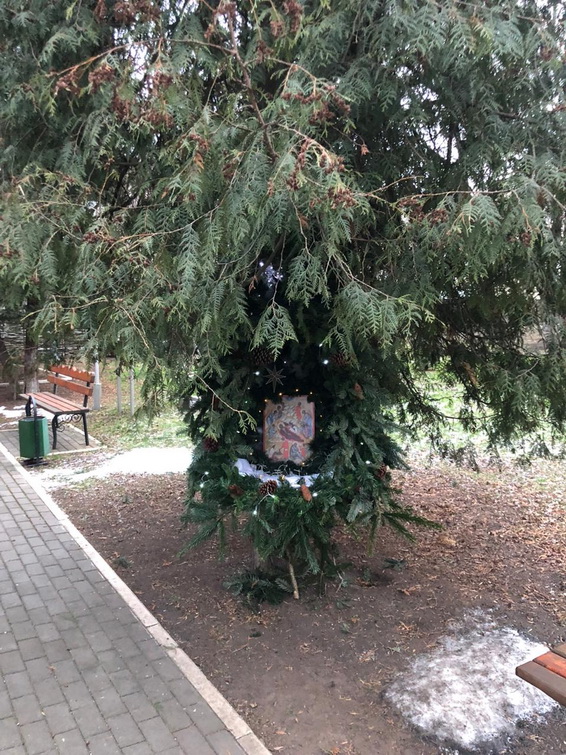 Галерея: Рождество Господа и Спаса нашего Иисуса Христа.